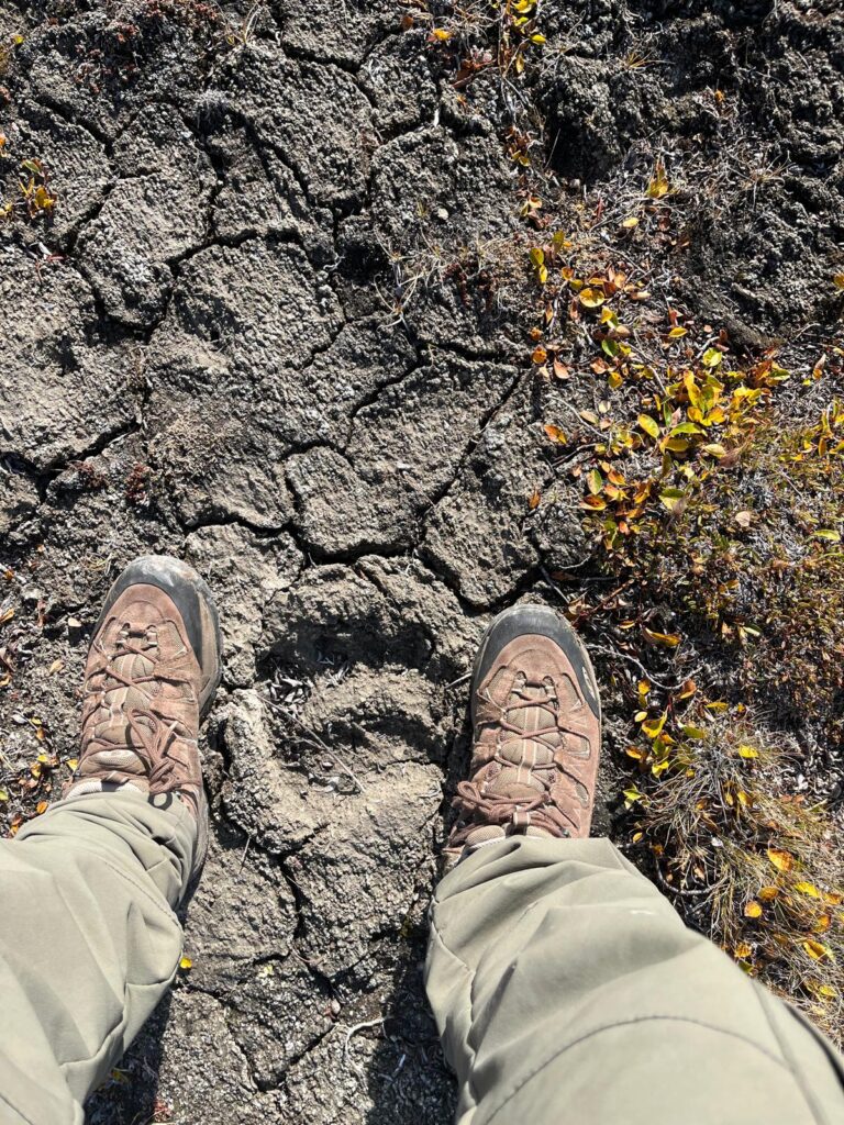 3 weeks footprint